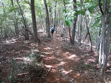20151006hike (269)